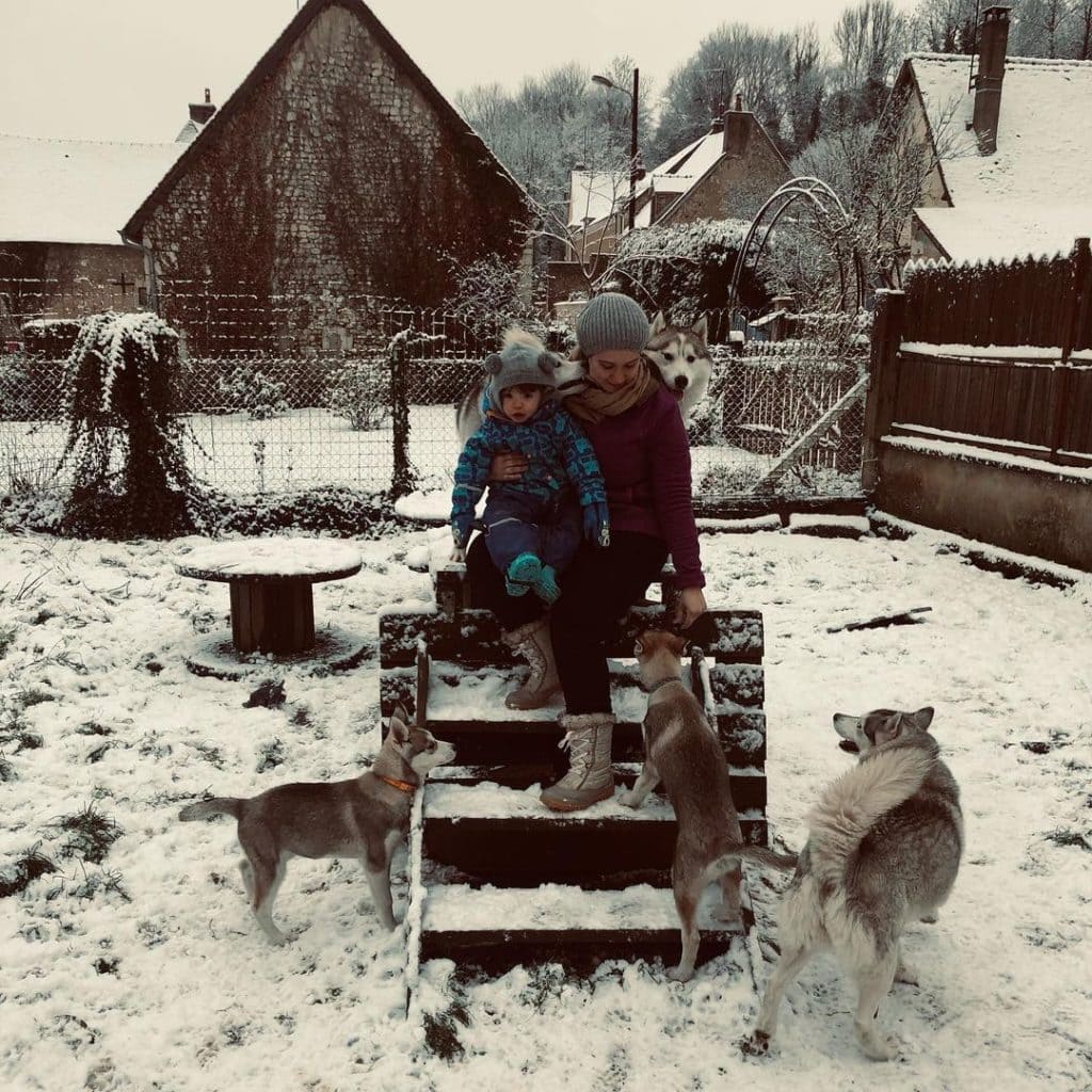 chiens enfants neige